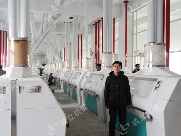 大型日产200吨面粉加工厂设备，自动化生产线