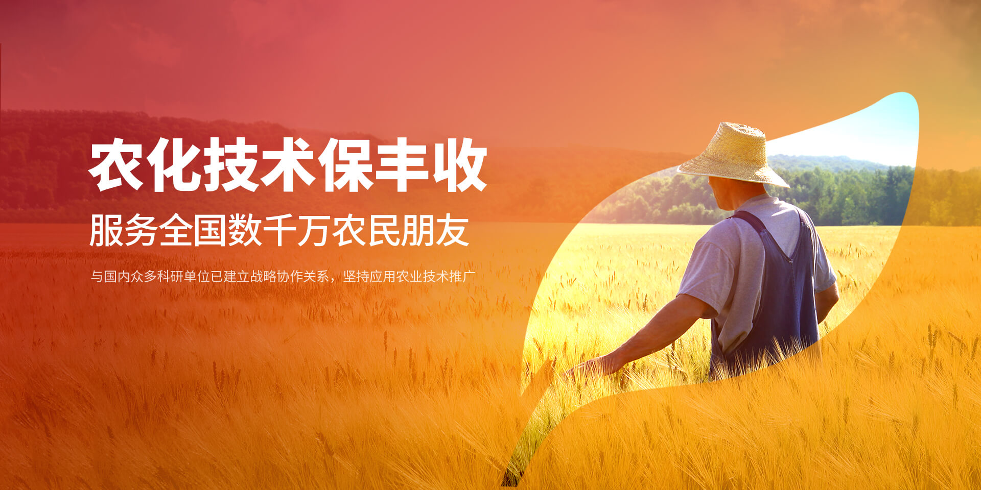 安阳好色先生TV免费下载新肥科技有限公司